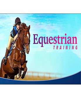 Equestrian Training Steam Key GLOBAL